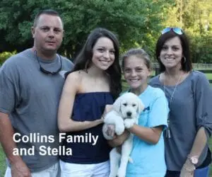 The Collins family and Stella