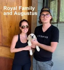 The Royal family and Augustus